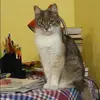 Отзыв от Марина Зорина